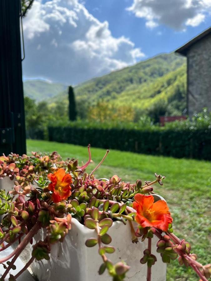La Casina Del Bassotto Bagni di Lucca Dış mekan fotoğraf